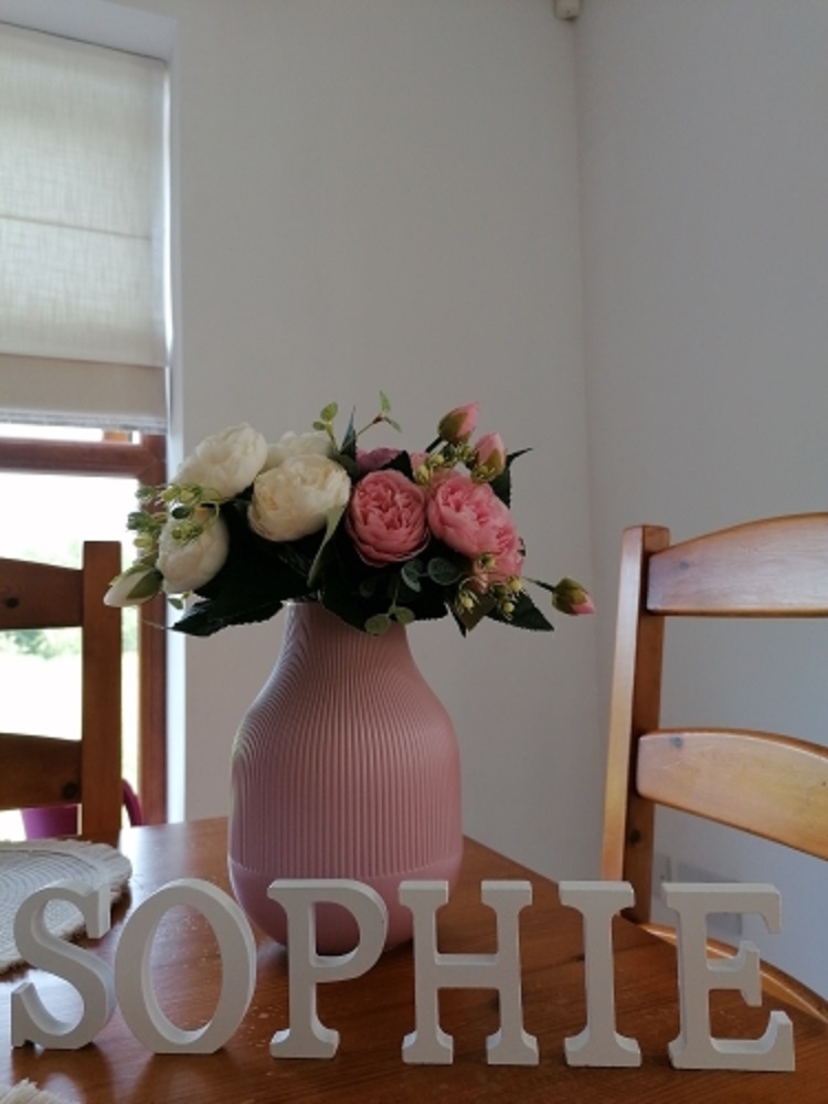 1pc 8CM White Wooden Letter En - Art Craft Names review and price